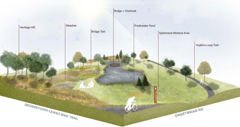 The plan for Hopkins Preserve includes several natural features to provide habitat for local wildlife, including a reforested area, pond, wetland and meadow. VERNACULAR LANDSCAPE GRAPHIC